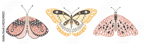 Colorful butterflies and moths, a set of three vector illustrations. Cute wings with abstract ornament, front view. Elements for tattoo design. Summer background