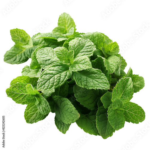 Fresh mint leaves isolated on a transparent background, ideal for culinary themes, herbal medicine concepts, and organic product advertising