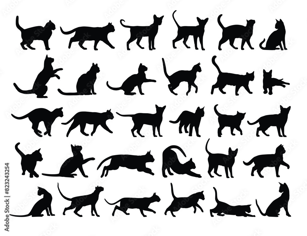 The big set of silhouettes domestic cats.
The big set of silhouettes domestic cats.
