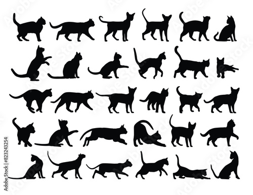 The big set of silhouettes domestic cats. 