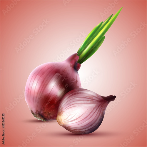 Red whole onion and cut slice. Vegetable Vector background.