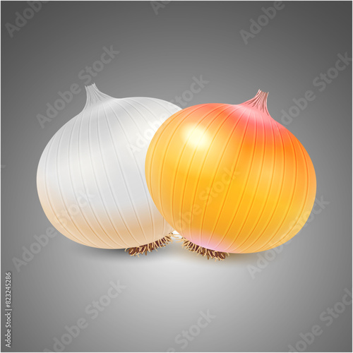 White and Yellow whole onion set. Vegetable Vector background.