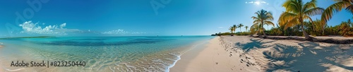 Beach view with palm tree, ultra wide background