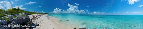 Beach view with palm tree, ultra wide background