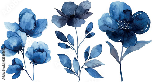 Watercolor painted set of blue and emerald flowers. Vector traced floral collection isolated.