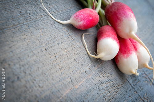 Fresh organic farm young radishes on a gray textured background. Lots of space for text. Poster.