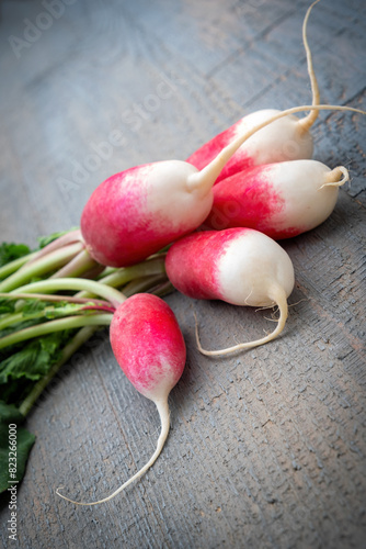 A bunch of fresh young pink and white radishes lies diagonally on a gray wooden background