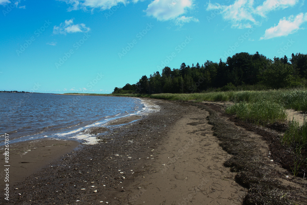 Rocky shore of Shediac Island, New Brunswick, Canada