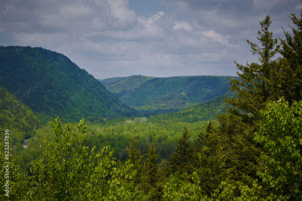 Obraz premium Lush green field in Caledonia Gorge, New Brunswick with distant hills and a blue cloudy sky