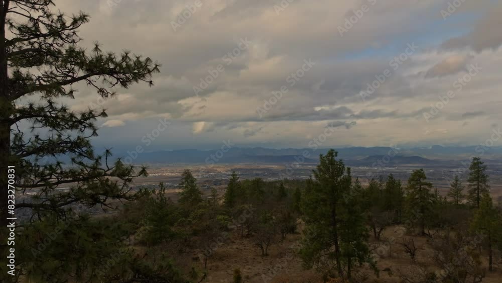 Aerial of a forest with mountains in the background under the cloudy sky Aerial of a forest with mountains in the background under the cloudy sky