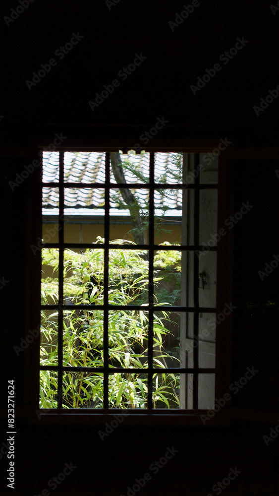 Window with plants and greenery in the background Window with plants and greenery in the background
