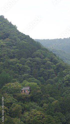 House nestled on a mountain, encircled by trees