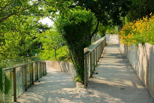 Scenic pathway in Dalian, China, surrounded by lush foliage