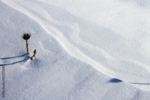 Canvastavla Winter scene with snow-covered mountainous terrain