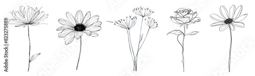 Hand drawn flowers png element set on transparent background