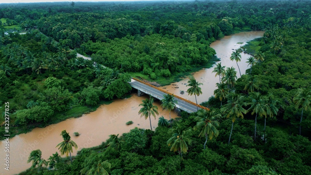 custom made wallpaper toronto digitalthe muddy road goes through a tropical jungle on its way to its destination