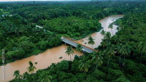 Wallpaper Mural the muddy road goes through a tropical jungle on its way to its destination Torontodigital.ca