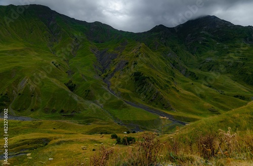 Stunning mountain range with rolling hills and lush green grass carpeting the landscape, Georgia photo