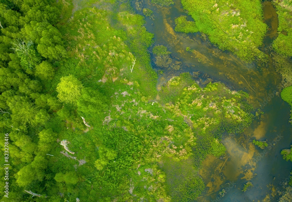 Aerial view of a scenic landscape of a forested area featuring lush greenery. Aerial view of a scenic landscape of a forested area featuring lush greenery.
