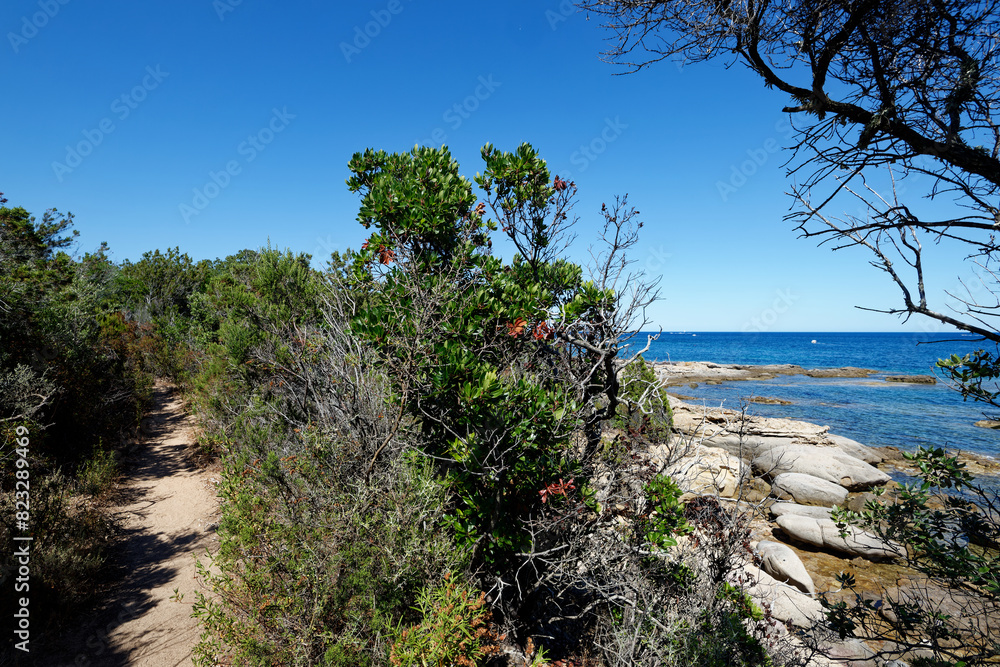 Korsika - Porto-Vecchio - La Chiappa - Küste