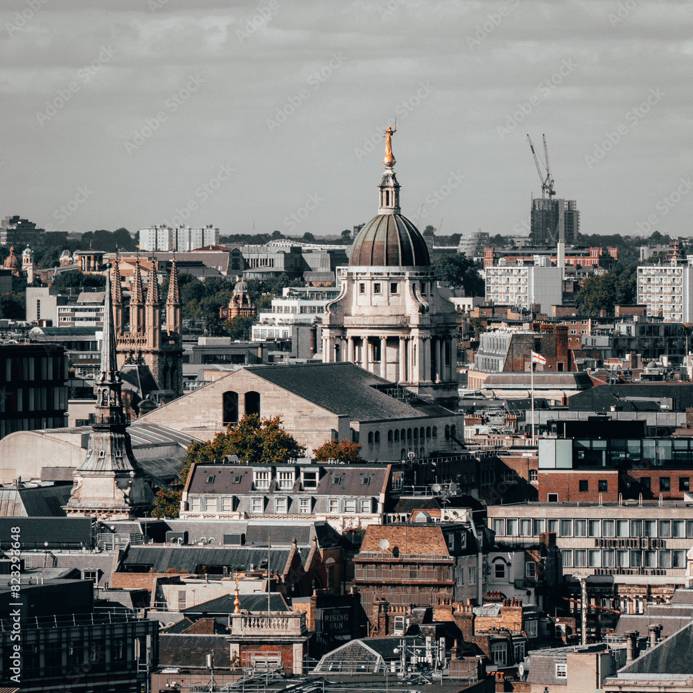 Fototapeta premium London skyline with clock tower and red rooftops, urban cityscape, London, UK