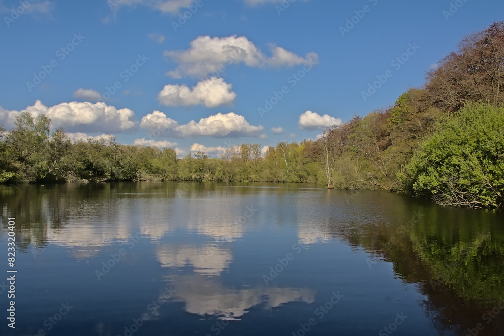 Lake with spring trees blue sky with fluffy clouds reflecting in the water in Het Broek nature reserve, Willebroek, Flanders, Belgium Lake with spring trees blue sky with fluffy clouds reflecting in the water in Het Broek nature reserve, Willebroek, Flanders, Belgium