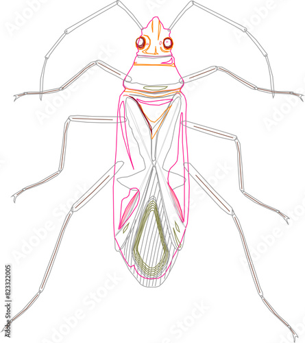 Cockroach insect animal design vector illustration sketch with long barbels