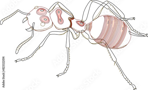 Sketch illustration vector detailed design drawing of animal insect ant with long barbels