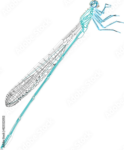 Sketch illustration vector detailed design drawing of dragonfly flying insect animal with wide wings