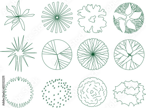 Vector illustration sketch artistic and unique tree plant collection design drawing