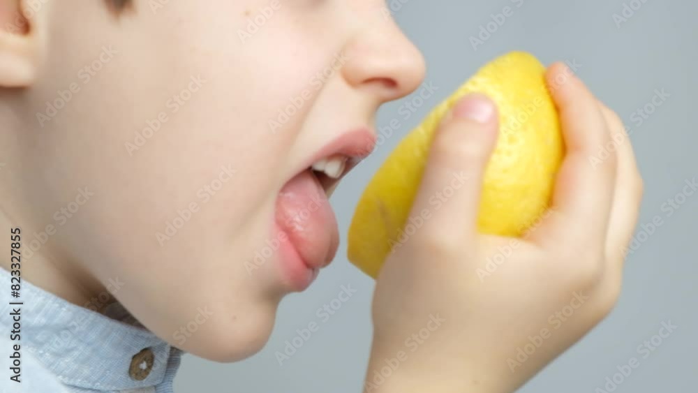 Funny child tasting a lemon, licking half a lemon with his tongue on a white background. Funny child tasting a lemon, licking half a lemon with his tongue on a white background.