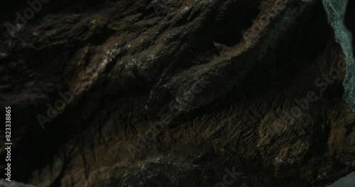 Textured Rock Detail in Natural Light. Close-up, shallow dof.