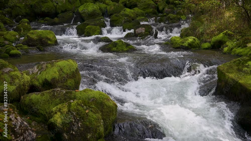 Alpine Fresh Clean Water stream Flowing Out of Mountain Rocks Covered with Green Moss - Gljun Spring , Bovec Slovenia Alpine Fresh Clean Water stream Flowing Out of Mountain Rocks Covered with Green Moss - Gljun Spring , Bovec Slovenia