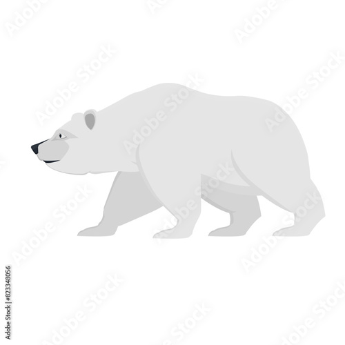 Polar bear. Animal bear, vector illustration © Denis Lytiagin