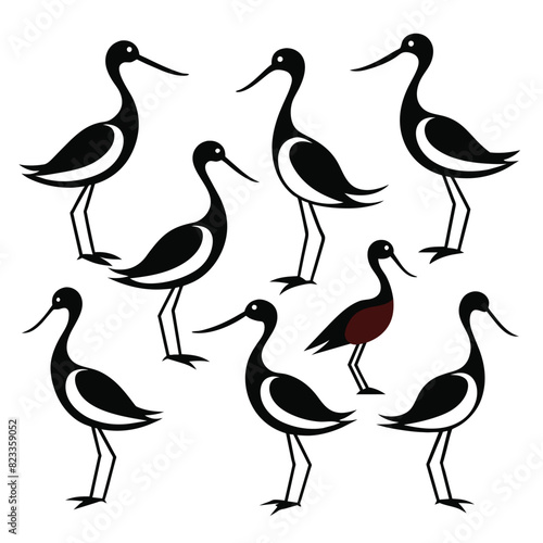 Set of avocet birds animal Silhouette Vector on a white background photo