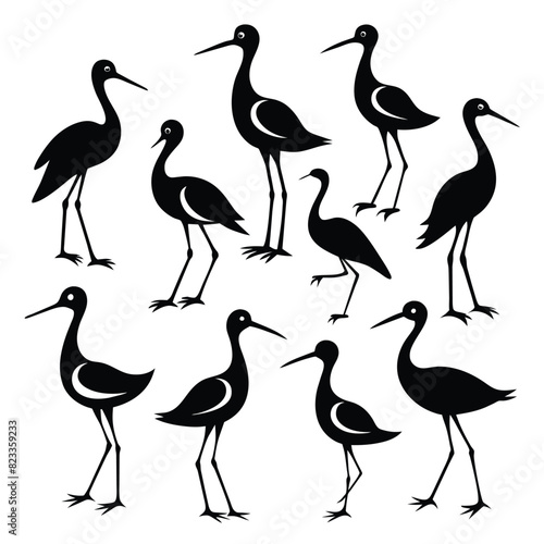 Set of avocet birds animal Silhouette Vector on a white background photo
