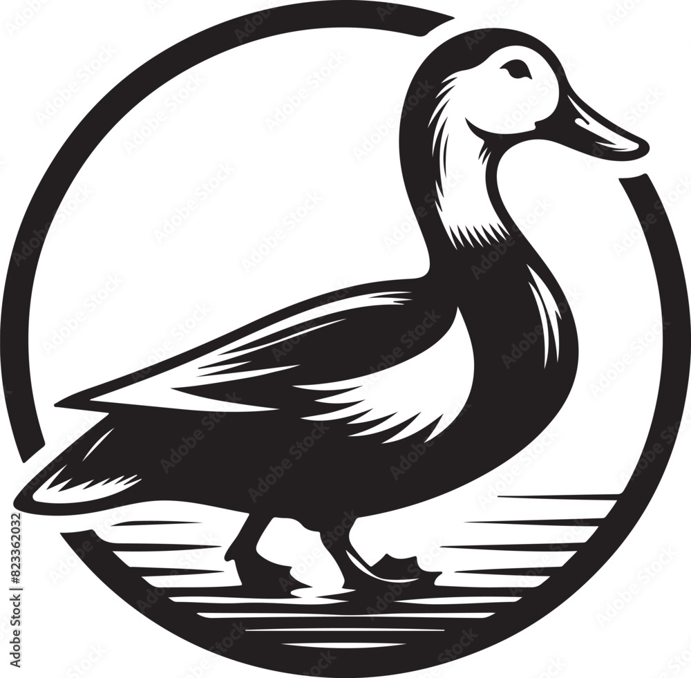 Silhouettes of wild and domestic duck. Duck in flight. Vector Silhouettes of wild and domestic duck. Duck in flight. Vector