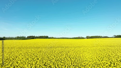 field and sky