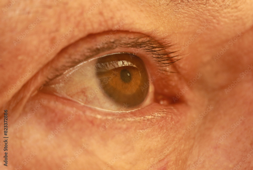 Fototapeta premium the wonder of the human eye close up 