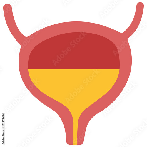 Bladder, PNG illustration.