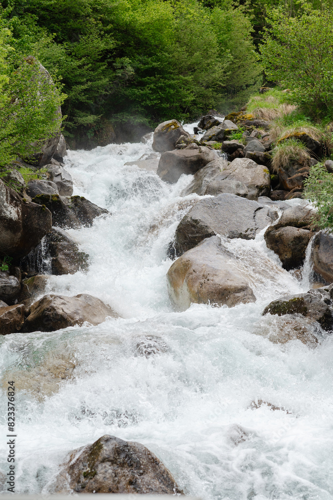 mountain river in the forest in Pyrénées mountain river in the forest in Pyrénées