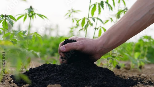 Biochar crumbles in a heap, coal particles falling, Pyrolysis, Decarbonization. photo