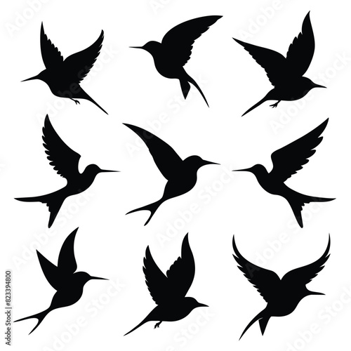 Set of bee eater birds animal Silhouette Vector on a white background