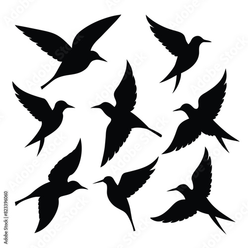 Set of bee eater birds animal Silhouette Vector on a white background