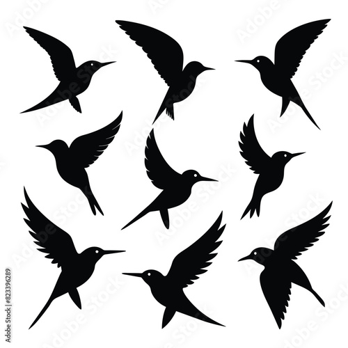Set of bee eater birds animal Silhouette Vector on a white background