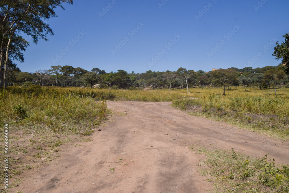 Dirt road in an African landscape, Zimbabwe