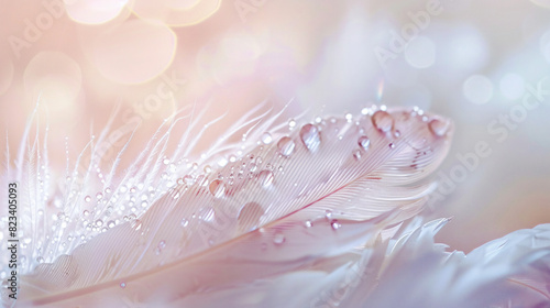 Gentle white air feather with drops of dew on a beauti photo