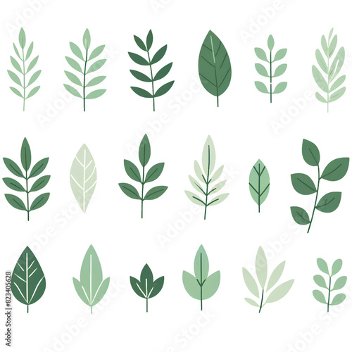 Various Green Leaf Illustrations Collection 