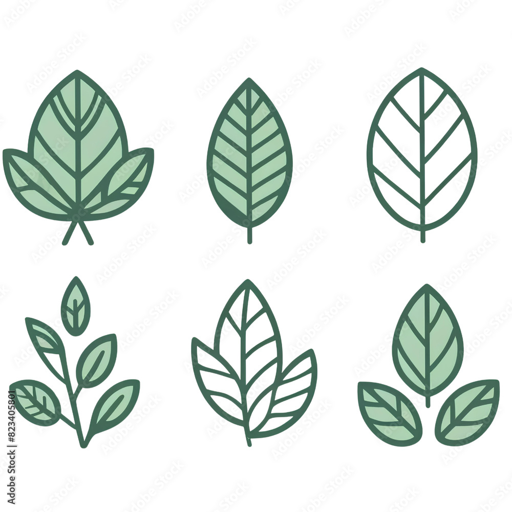 Fototapeta premium Various Green Leaf Illustrations Collection 