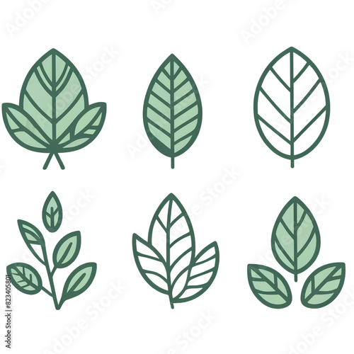 Various Green Leaf Illustrations Collection 